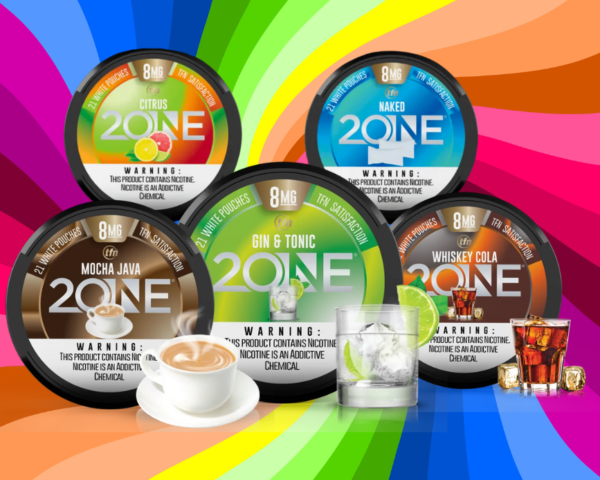 SNUS 2ONE POUCHES DE NICOTINA